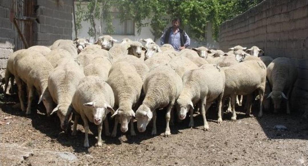 "&ccedil;ocuklar Ger&ccedil;ek S&uuml;t Ve Yoğurt T&uuml;ketmeden B&uuml;y&uuml;yor"