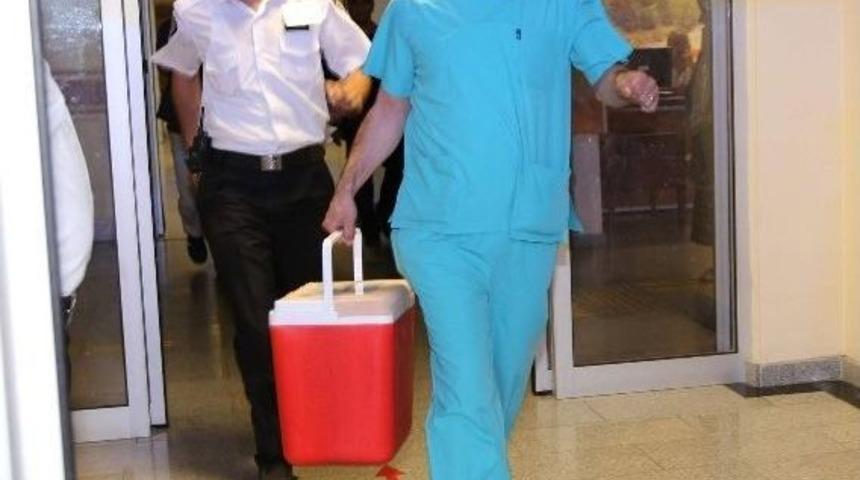 Rize'de Boğulan Gencin Organları Bağışlandı