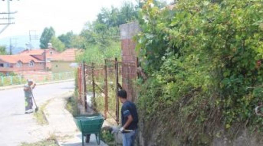 Kanal Ve Yol Kenarları Temizleniyor