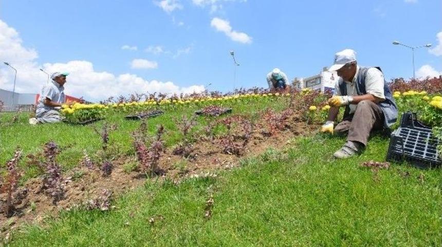 Rasim Kara Parkı &Ccedil;i&ccedil;ek A&ccedil;tı