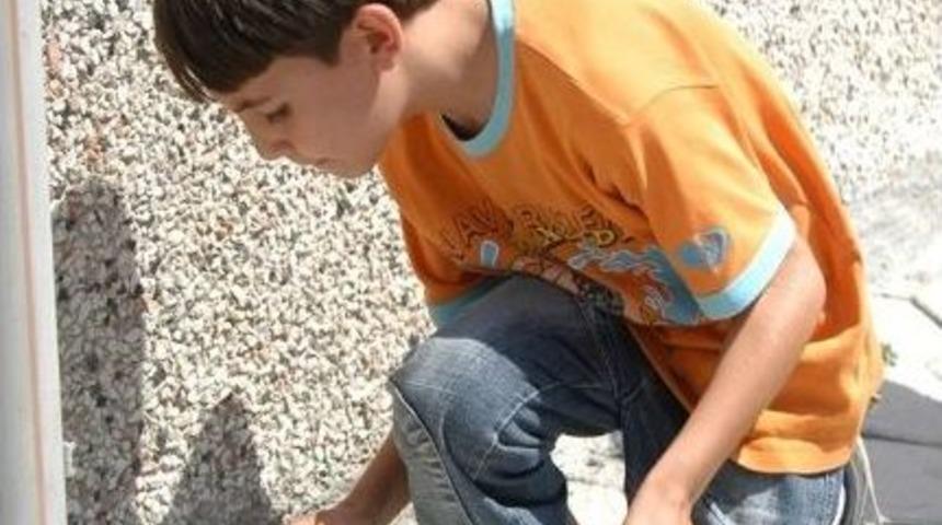 &lsquo;sıcaklarda Sokak Hayvanlarına Sahip &Ccedil;ıkalım&rsquo; &Ccedil;ağrısı