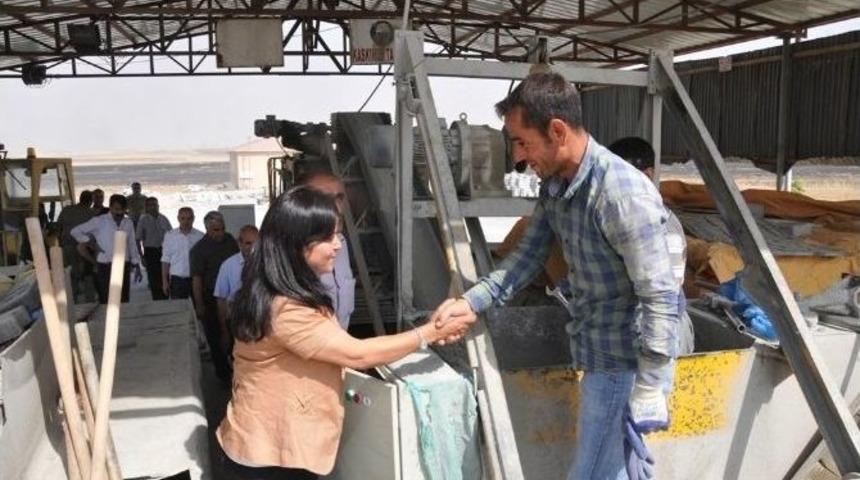 Eşbaşkanlar &Ccedil;alışmaları Yerinde Denetledi