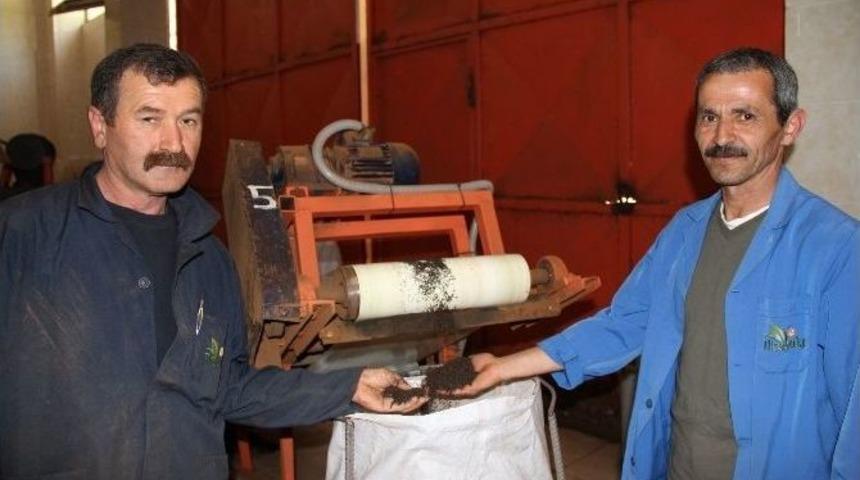 Tirebolu 42 &Ccedil;ayı 2014 Yılında Da Kapasitesini Artırmaya Devam Edecek