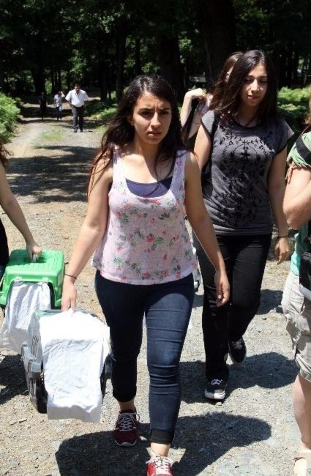 &Ouml;zg&uuml;rl&uuml;ğe Kanat &Ccedil;ırptılar