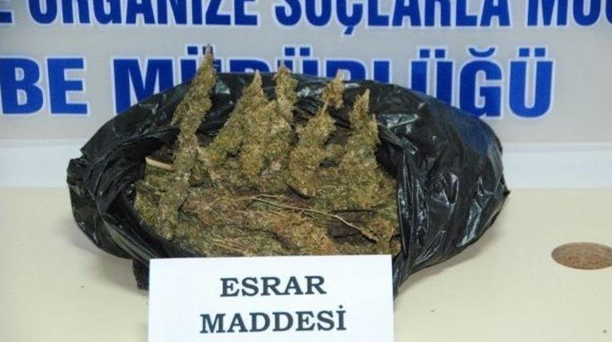 Yalova'da 1 Kilo 900 Gram Esrar Ele Ge&ccedil;irildi