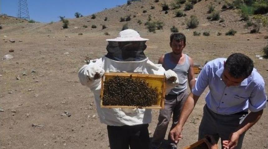 Şirvan&rsquo;da Arıcılara 800 Adet Arılı Kovan Dağıtıldı