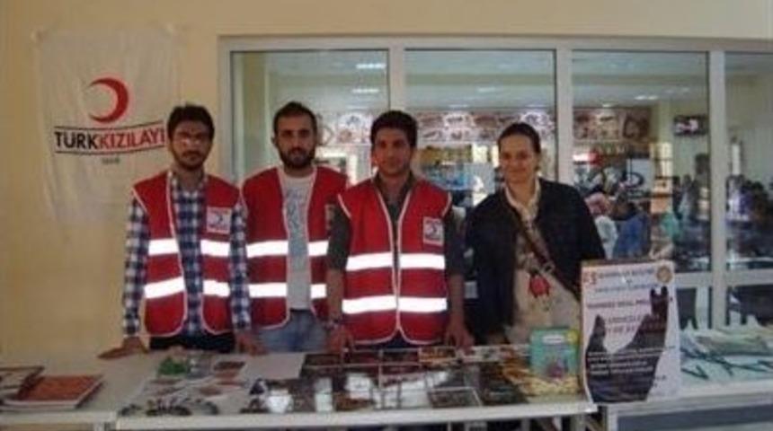 T&uuml;rk Kızılay'ı Bilecik Şubesi'nden İhtiya&ccedil; Sahiplerine Kavurma