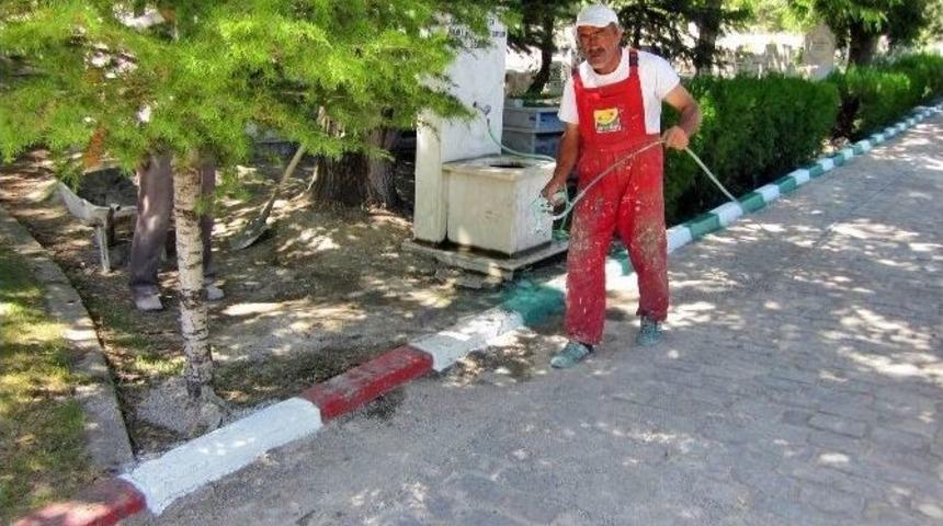 Akşehir Sel&ccedil;uklu&rsquo;nun Rengiyle Bezeniyor