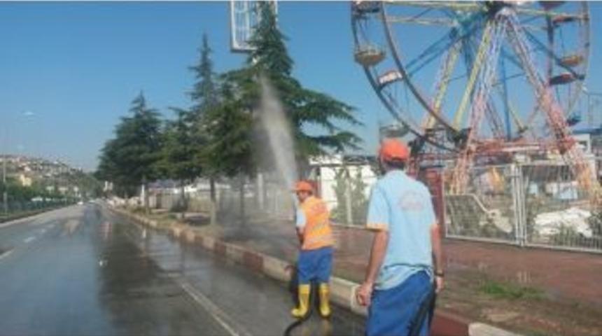 Tozlanan Ağa&ccedil;ları Yıkadılar