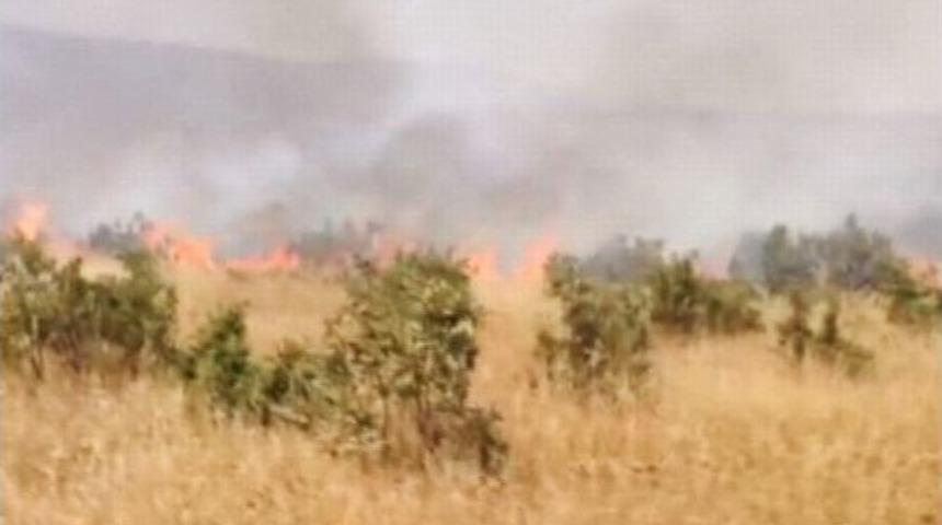 Siirt&rsquo;te Orman Yangını