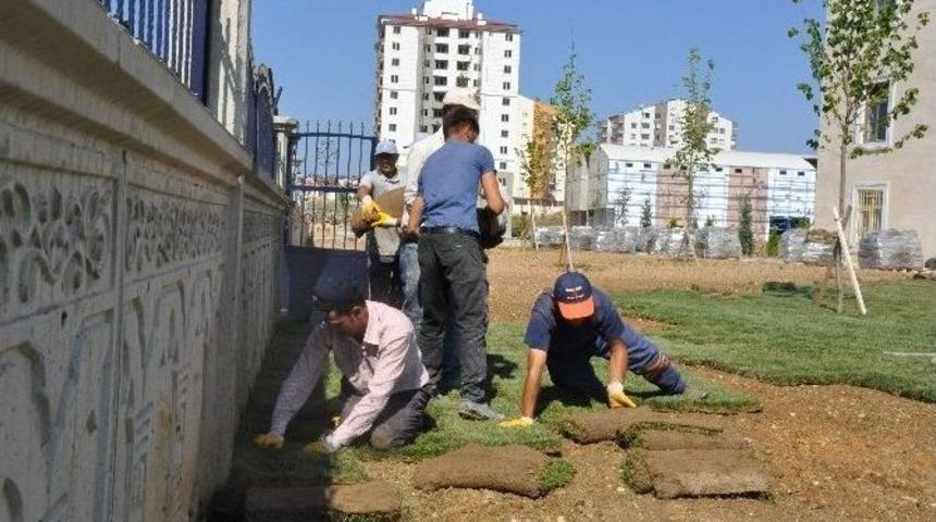 Başkan Babaş, Belediye &Ccedil;alışmalarını İnceledi