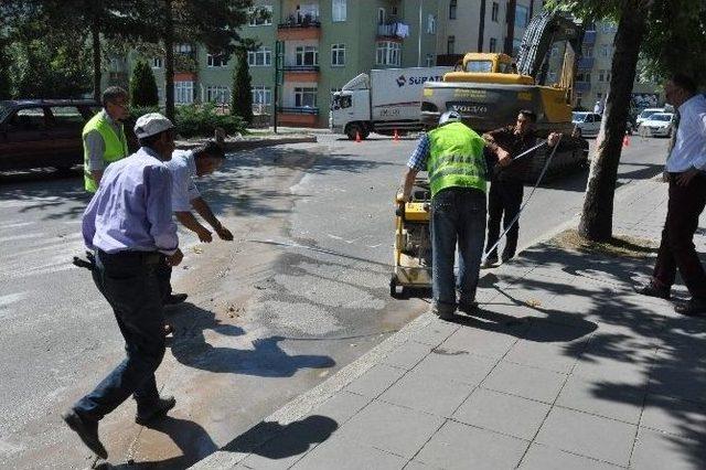 Başkan Babaş, Belediye Çalışmalarını İnceledi 3