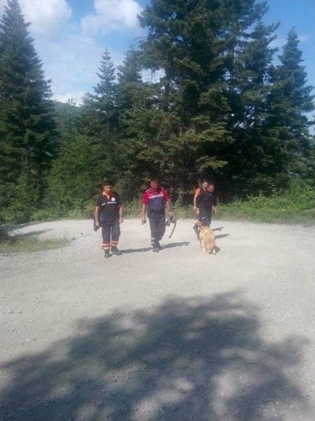&Ccedil;am Sakızı Toplamayan Giden Yaşlı Kadın, 12 G&uuml;nd&uuml;r Kayıp 1
