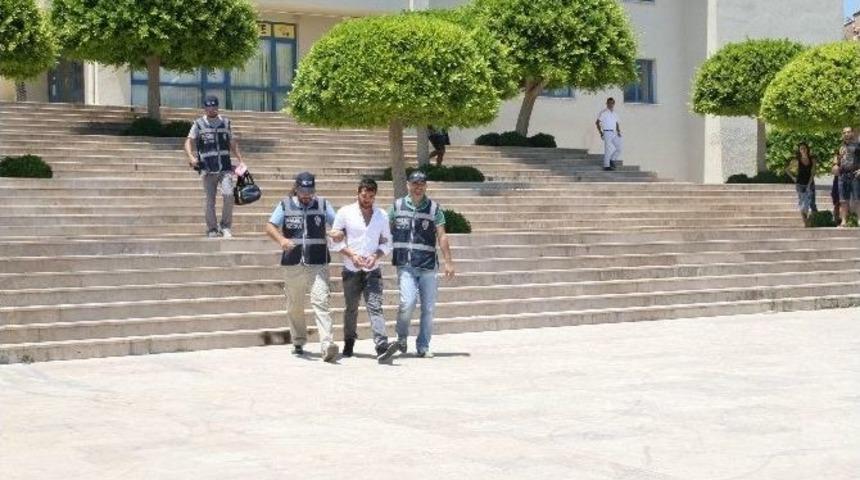 (&ouml;zel Haber) Bonzaiyi Narkotik K&ouml;peği "k&ouml;p&uuml;k" Buldu