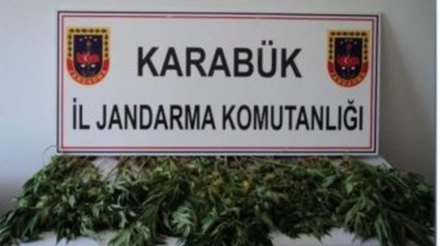 Jandarmadan Uyuşturucu Operasyonu