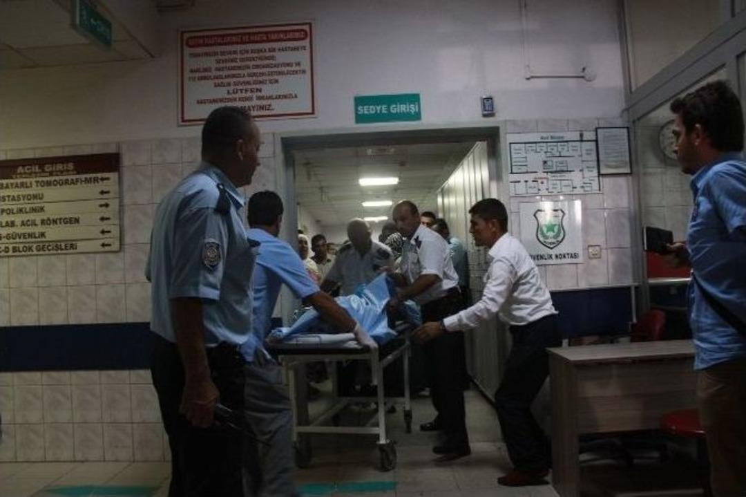 Akıma Kapılan Hayvanları Kurtarmak İsterken Can Verdi