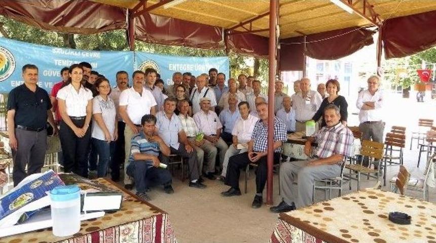 Aydın&rsquo;da İncir &Uuml;reticileri Eğitiliyor