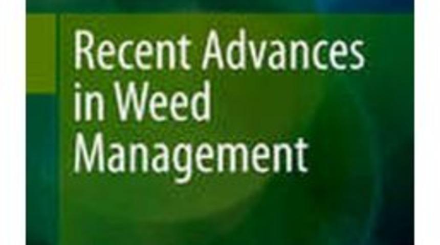 Ad&uuml;&rsquo;den Uluslararası Yayına Katkı