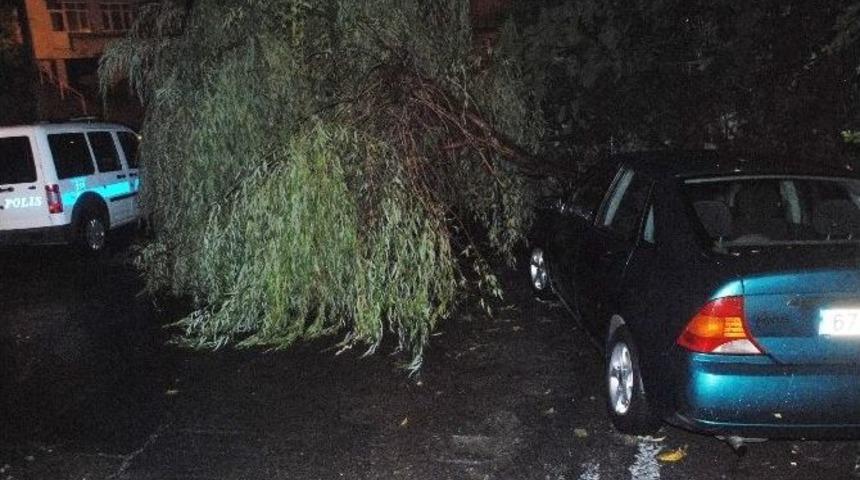 Ereğli&rsquo;de Yağmur Ve Fırtına Etkili Oldu