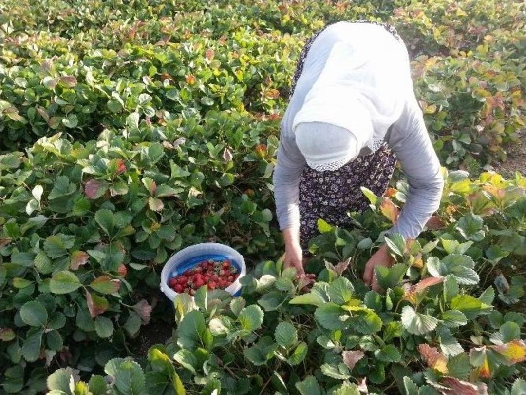 &Ccedil;&ouml;z&uuml;m S&uuml;reci K&ouml;ylere Huzur Getirdi