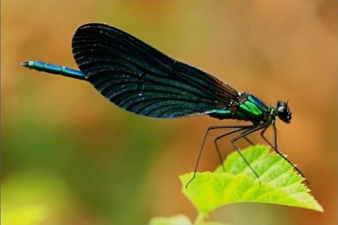 Doğader'den Sansarak Kanyonuna &Ccedil;ıkarma