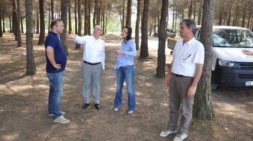 Terme'ye Modern Sahil