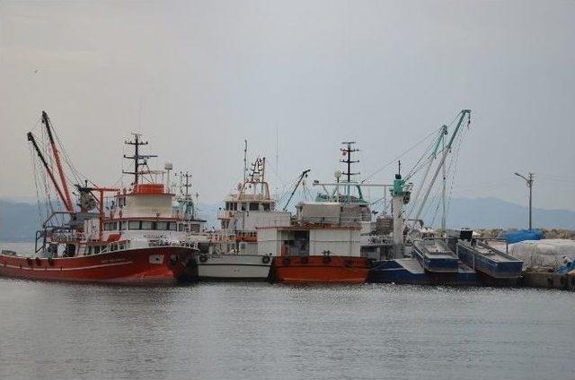 Yalıköylü Balıkçılar 1 Eylül’de 'vira Bismillah' Demeye Hazırlanıyor