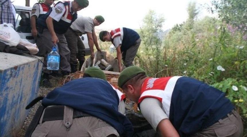 Sakarya Nehrinde Ka&ccedil;ak Avlanma