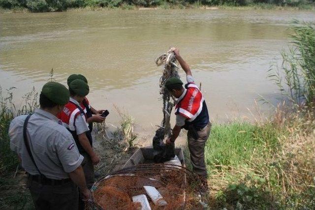 Sakarya Nehrinde Kaçak Avlanma