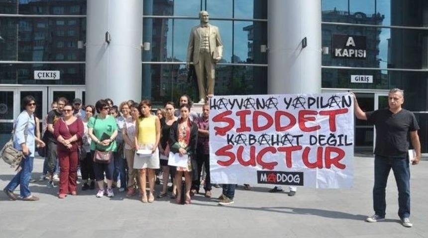 Eskişehir&rsquo;de Kedi Vahşeti Davası