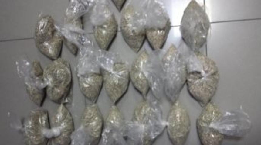 Samsun'da 2 Kilo 90 Gram Bonzai Ele Ge&ccedil;irildi