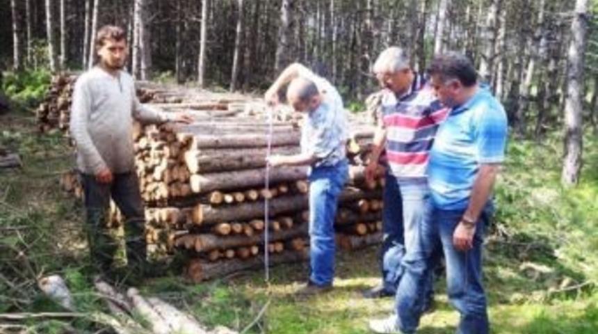 Orman İşletme Şefliklerine Denetim