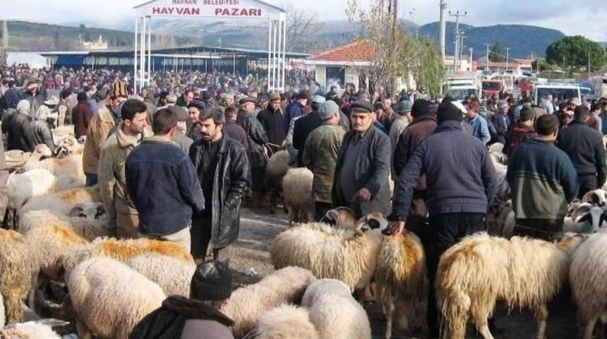 Havran&rsquo;ın Hayvan Pazarı Ruhsatlandı