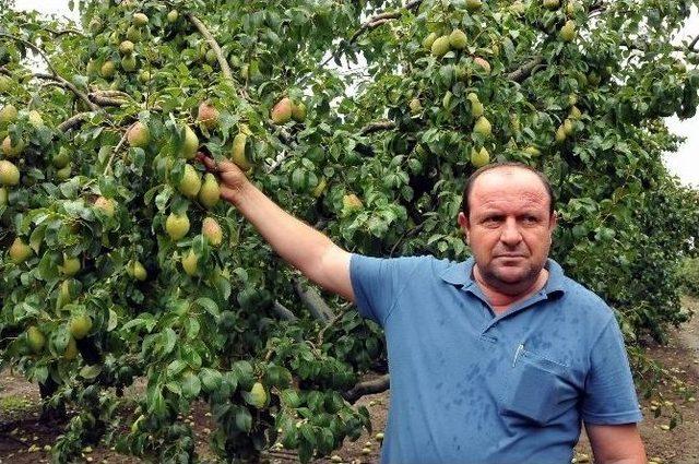 Bursa’yı Dolu Üçüncü Defa Vurdu