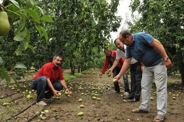 Bursa’yı Dolu Üçüncü Defa Vurdu