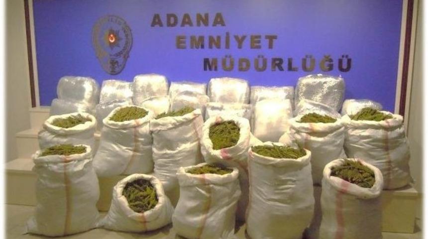 Bonzai Adana'ya Sı&ccedil;radı