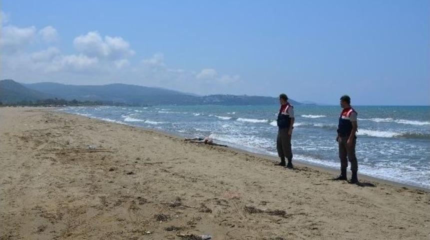 Pamucak Sahilinde Kimliği Belirsiz Erkek Cesedi Bulundu