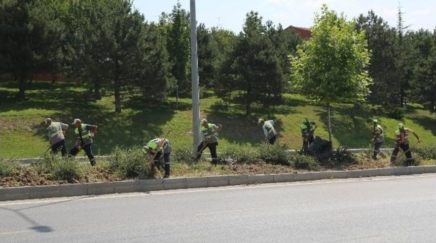 &Ccedil;evre Yolu Yabani Otlardan Temizleniyor