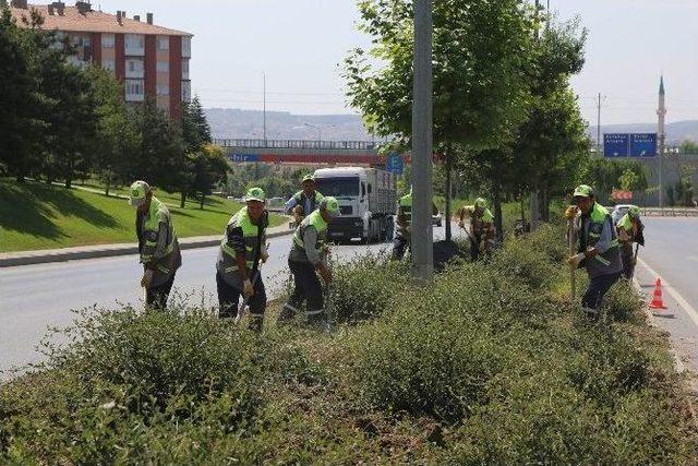 Çevre Yolu Yabani Otlardan Temizleniyor 1