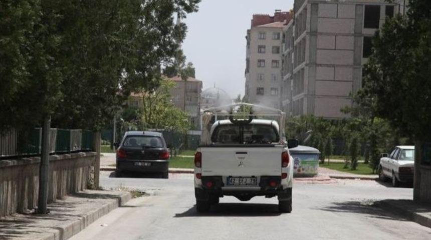 Sel&ccedil;uklu&rsquo;da Haşereyle M&uuml;cadele S&uuml;r&uuml;yor