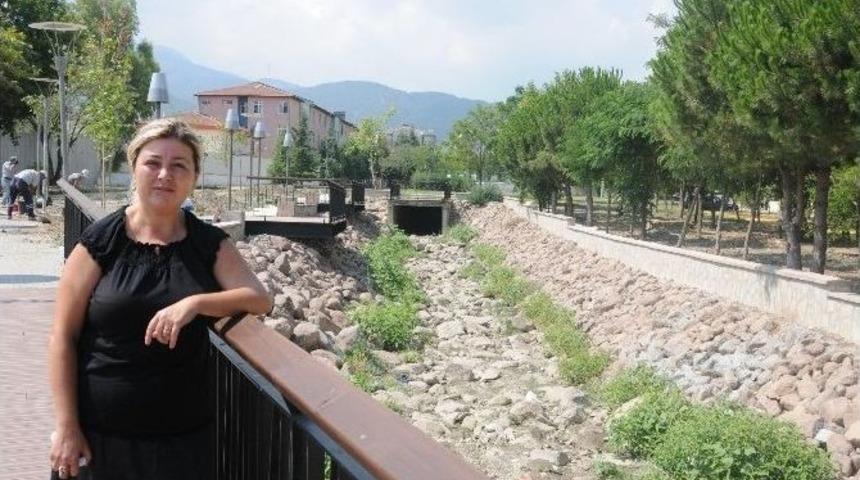 Bozk&ouml;y Deresi Yeşilleniyor