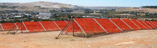 Gaziantep'te 'kurutmalık' sezonu başladı