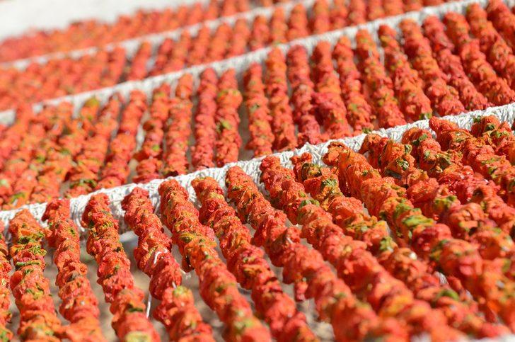 Bahçeler rengarenk oldu  G1