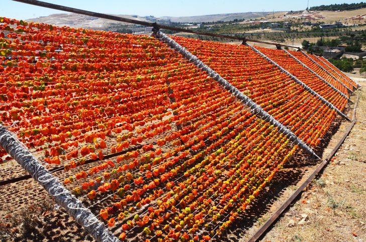 Bahçeler rengarenk oldu  G5