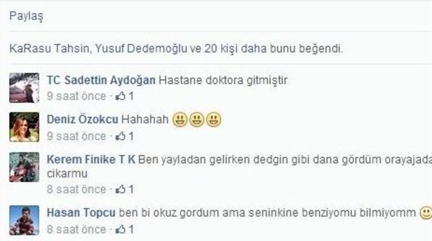 Danasını Kaybetti İl&ccedil;eyi Ve Sosyal Medyayı Ayağa Kaldırdı