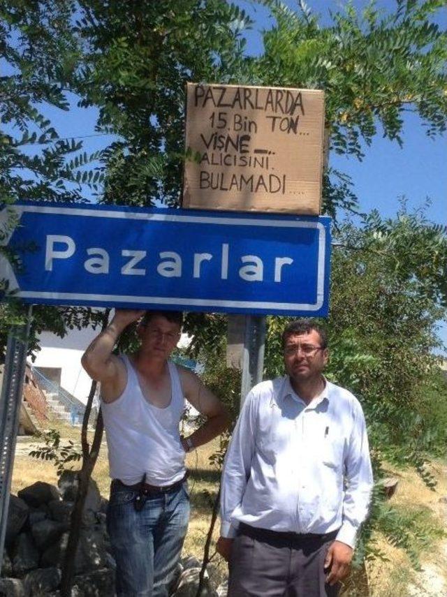 15 Bin Ton Vişne Alıcısını Arıyor 1