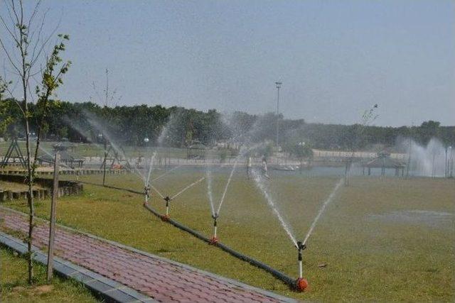 Kapaklı'da Kazak Gölü Bakım Çalışmaları Sürüyor