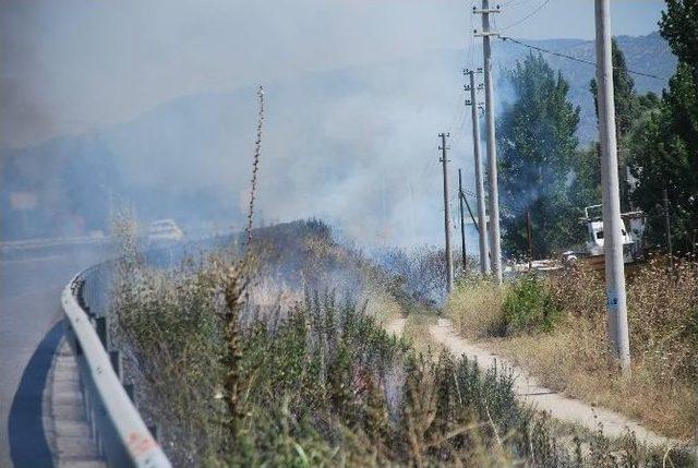 En Fazla Yangın Yol Kenarında Ve Sigaradan Çıkıyor