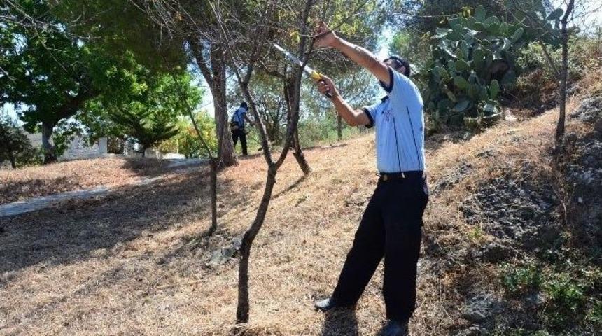 Bodrum&rsquo;da Bayram &Ouml;ncesi Mezarlıkların Bakımı Yapılıyor