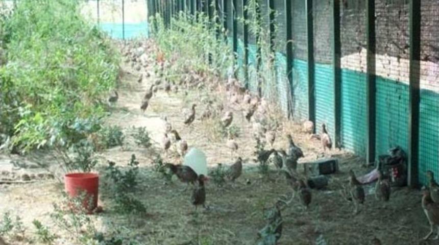 Sakarya S&uuml;l&uuml;nlerine Kavuştu